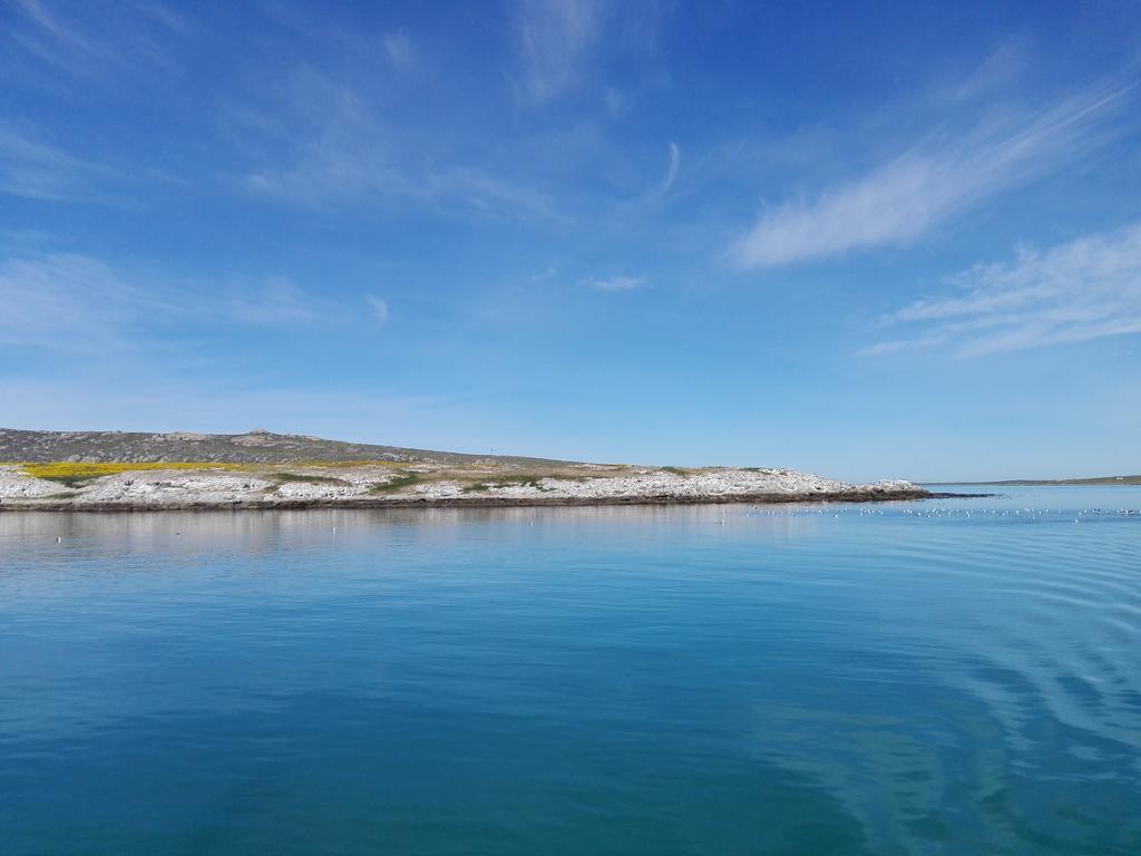 Due South Guest House Langebaan Εξωτερικό φωτογραφία